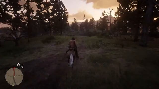 Прохождение Read Dead Redemption 2 часть 7