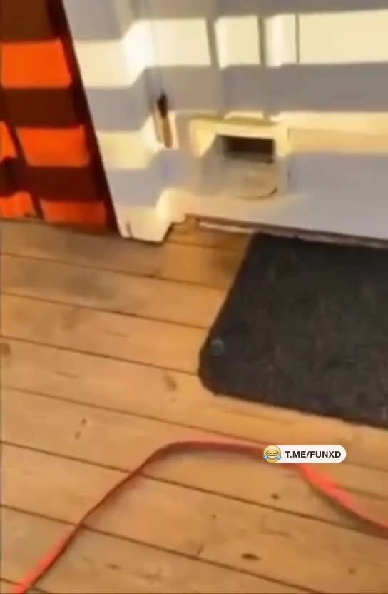 Вы кто такие, я вас не звал😁