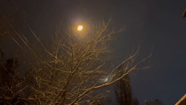 Один день из жизни // Смотрю Грозный Папа// ВЫКУПИЛИ КИНОТЕАТР? // Первый снег в Воронеже 2022