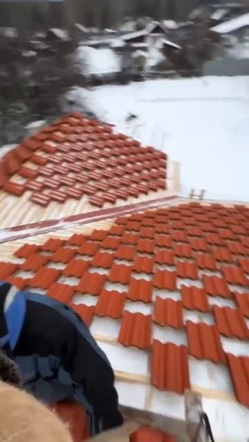 20 тонн #рубимсрубы #баняизбревна #домизбревна #страсти