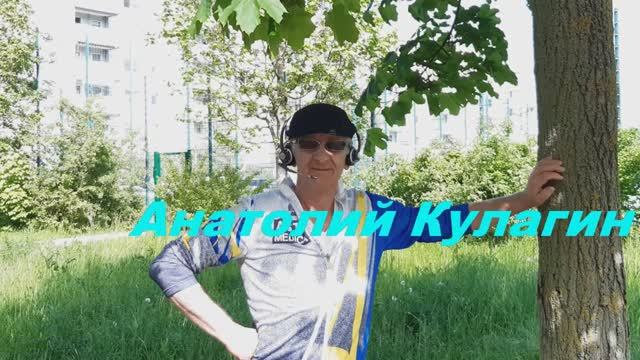 Анатолий Кулагин - Наши Тайны