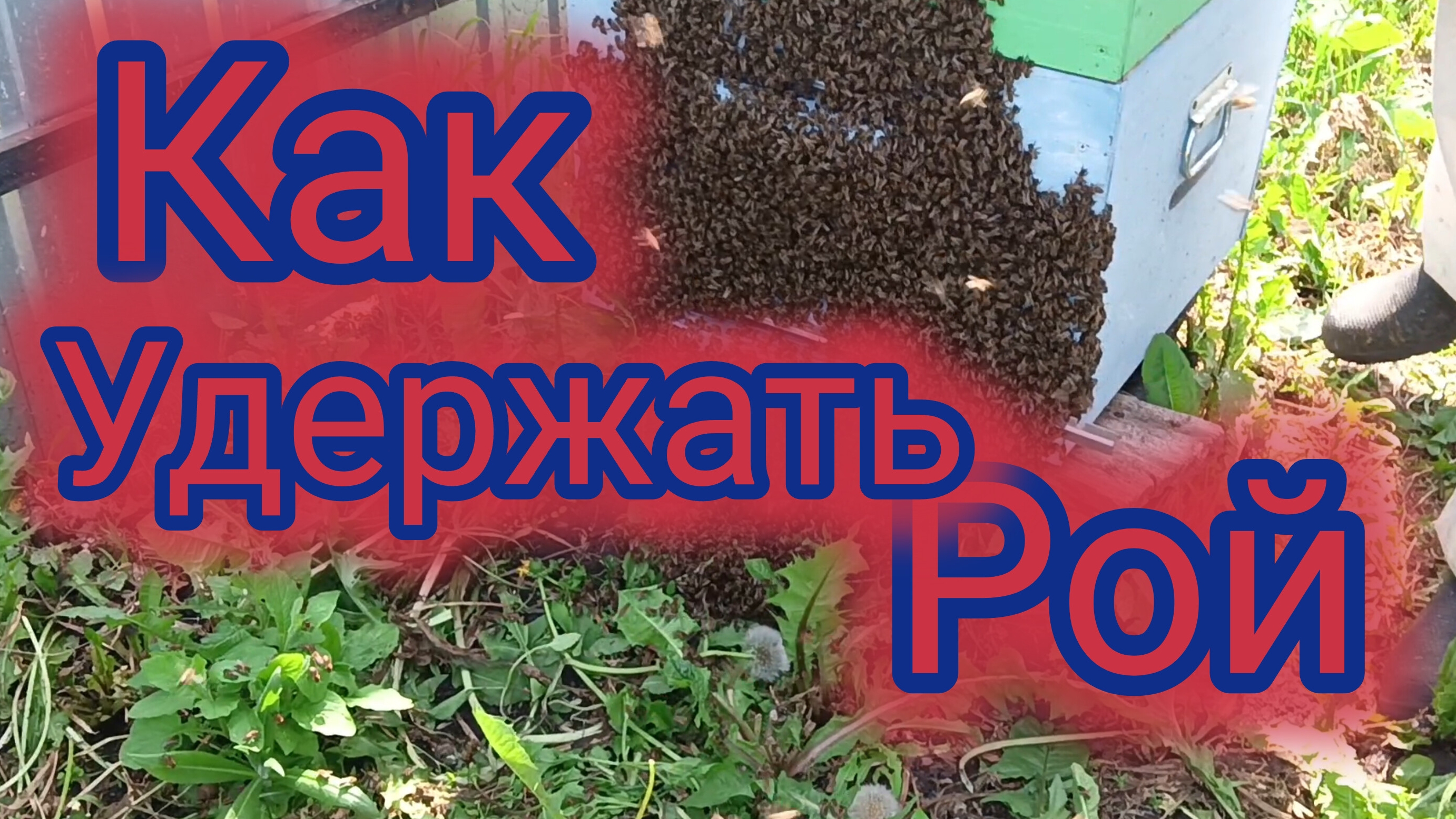 Как удержать рой 🐝