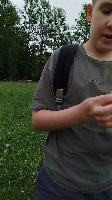 мармеладки чек