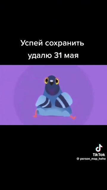 песня собачка жвачка