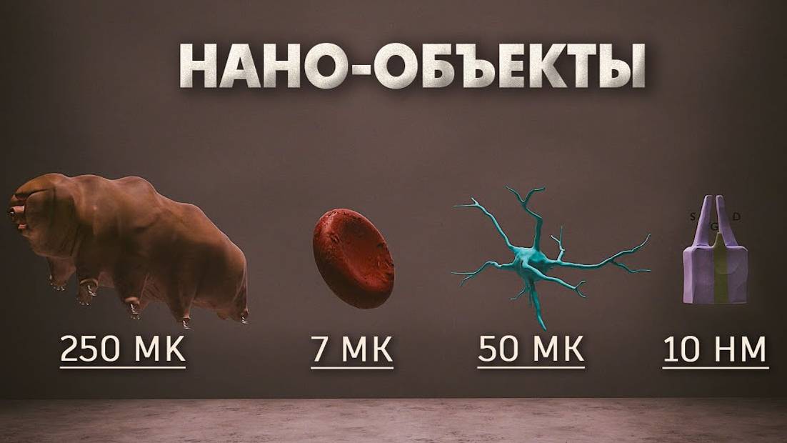 ЧТО МЕШЬШЕ АТОМА? КАК ВЫГЛЯДЯТ МЕЛЬЧАЙШИЕ ЧАСТИЦЫ В ОТНОШЕНИИ? ЗАКВАНТОВЫЙ МИР