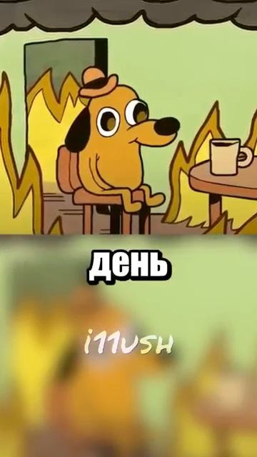 i11ushenka (1234)