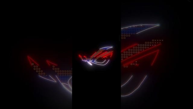 1000001559.mp4