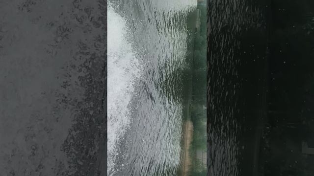 1000020783.mp4