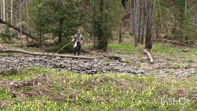 Весенняя рыбалка на хариуса по горным речкам