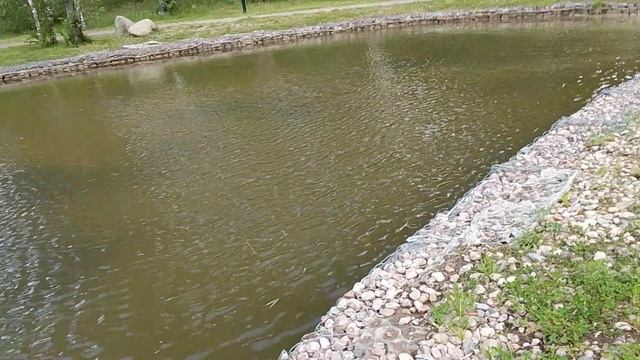 прогулка в парк песчанка