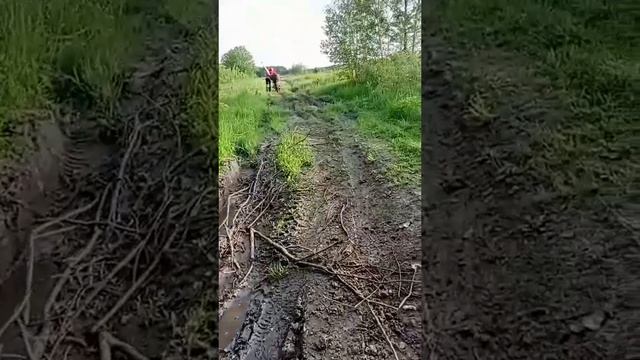 31-05-2025 Съездили за карасями 😊👍