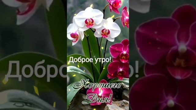 Доброе утро💝 Отличной субботы🌝 Хорошего дня♥️ Поменьше работы,побольше огня😍💝♥️