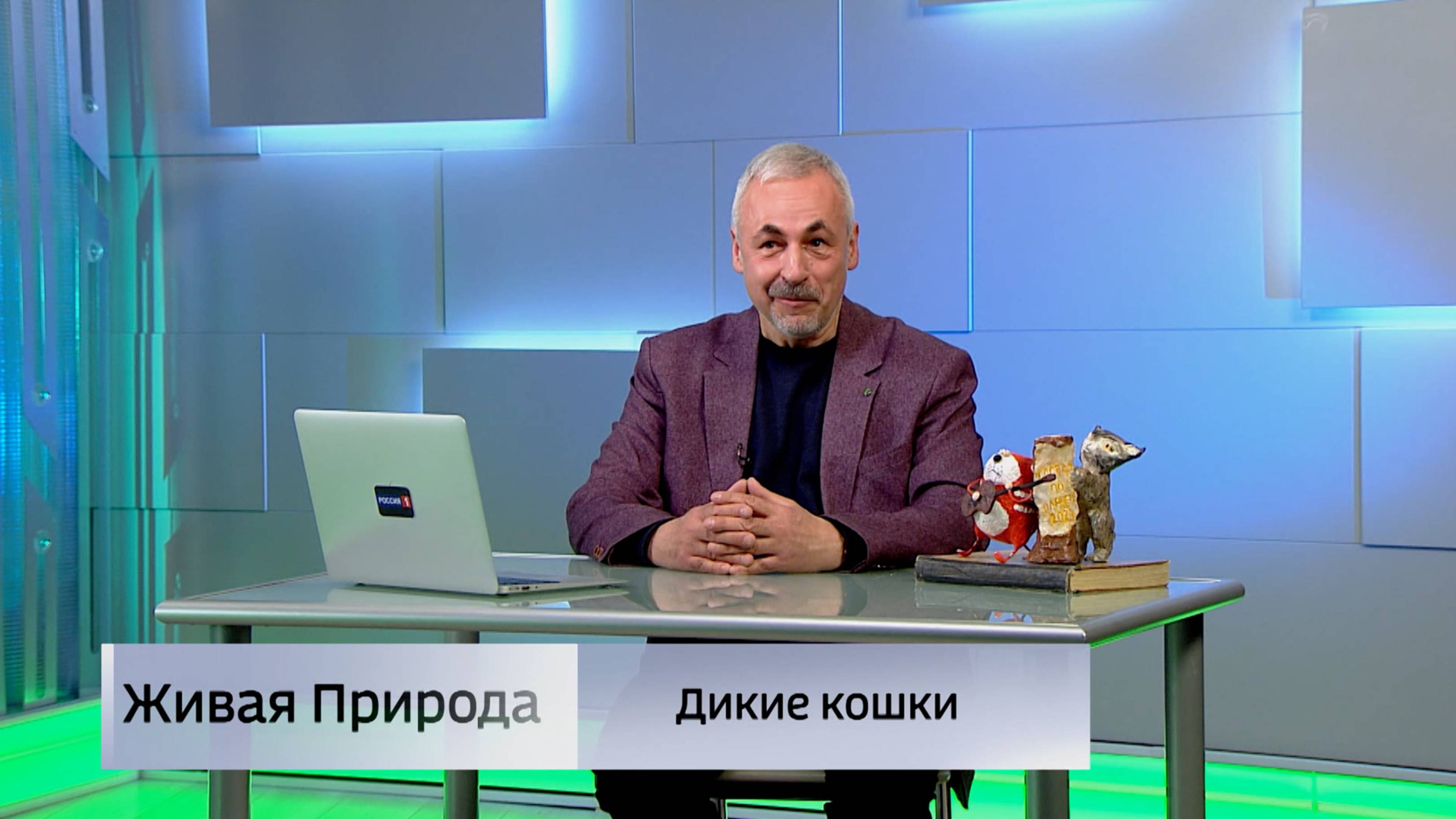 Живая природа. "Дикие кошки"