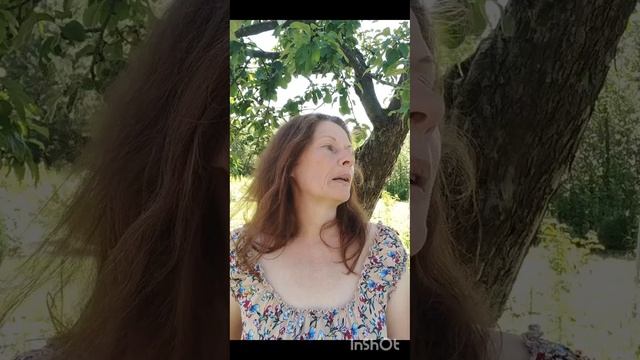 Про Настю в Настином саду любимых роз. Давайте знакоми