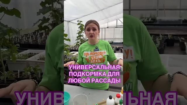 Жидкая подкормка.