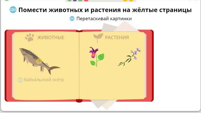 9 Мир вокруг