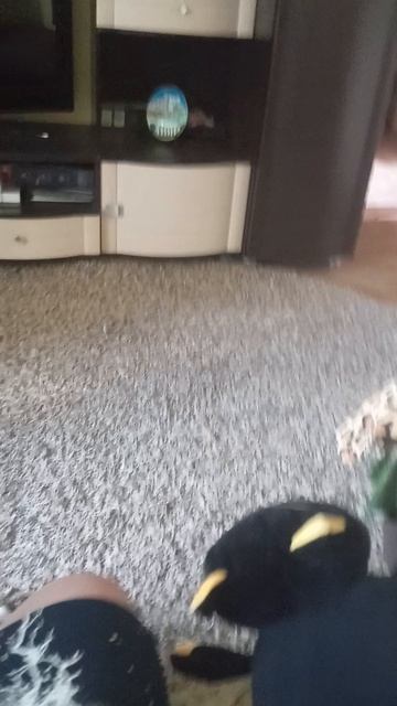 для. утро