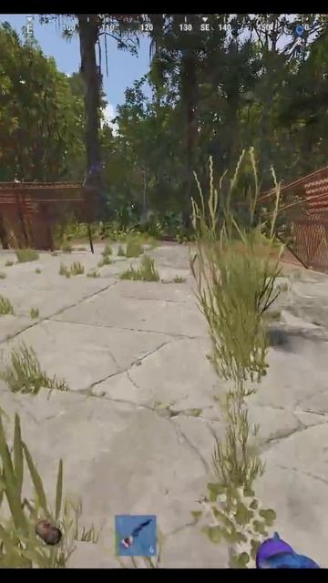 rust  помп работает