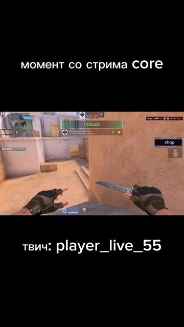 момент со стрима core