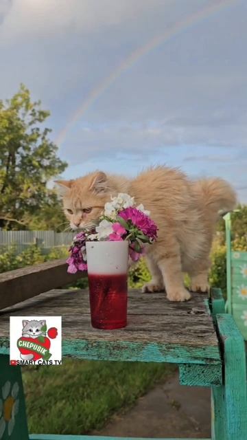 Спаси Господь и сохрани 😇🌈💓🙏😻
