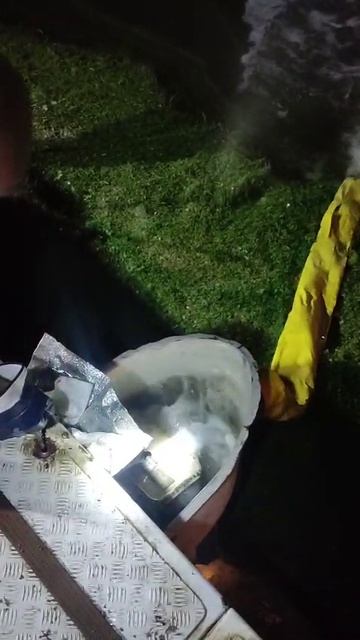 Запуск карпа