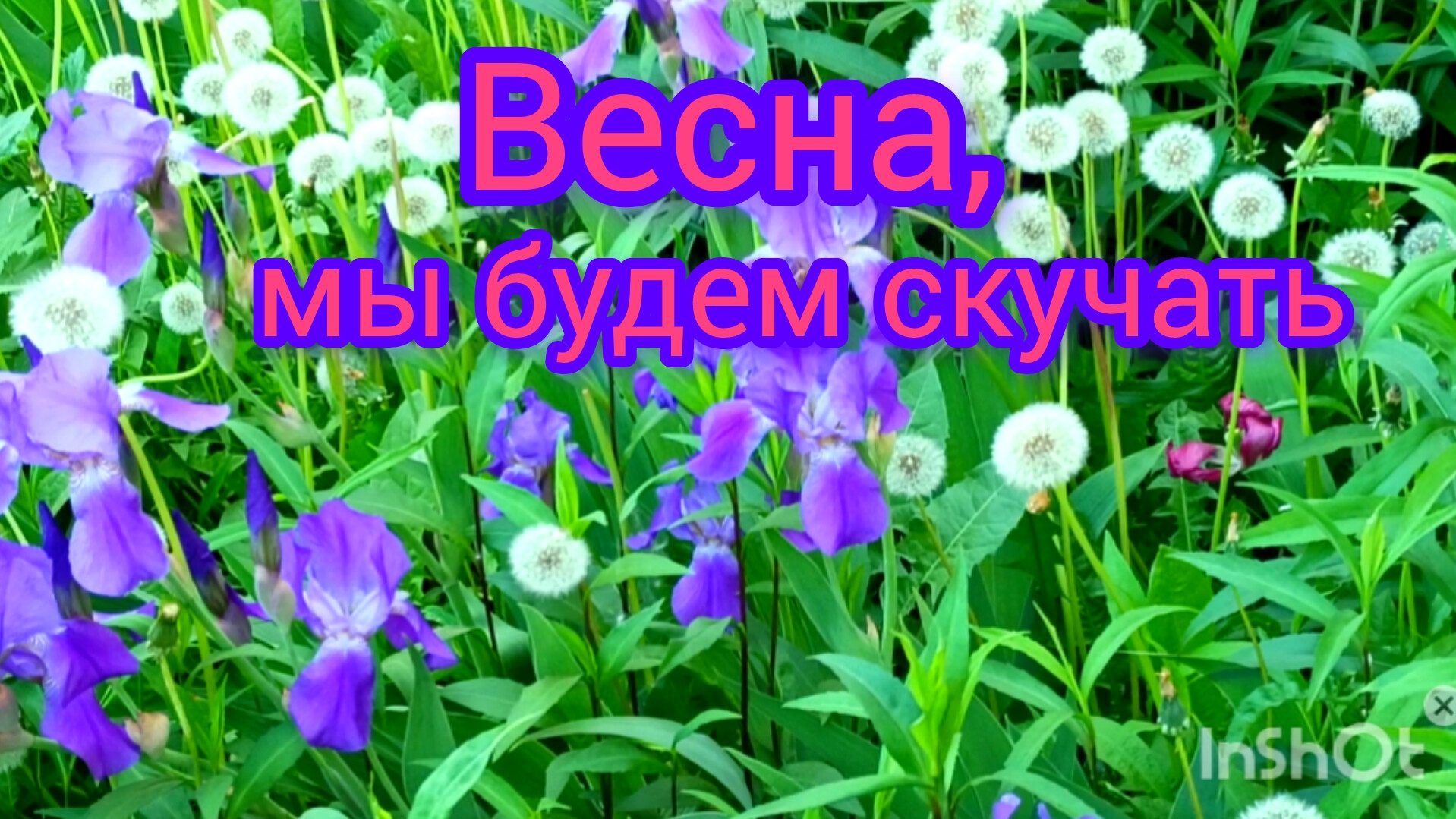 Весна,мы будем скучать! 31-05-2025 #красотаприроды #весна #времена года