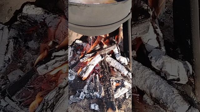 выходние у бабушки в деревни