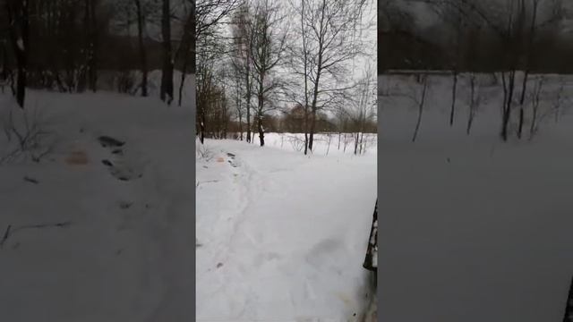 ВЛОГ! Пошла про гуляться. маг чееек. посылка 30.01.2022 Жилетово