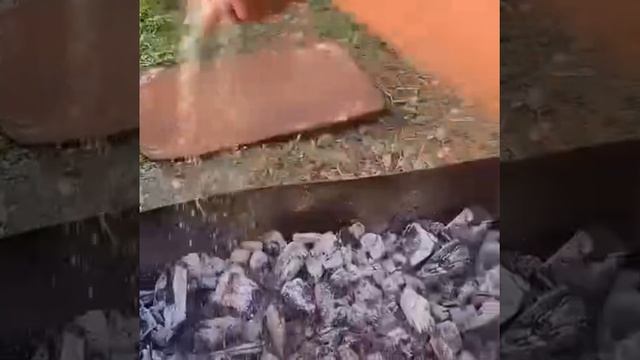 VID_20250531_104720_639