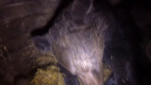 Буржуй он и есть буржуй.