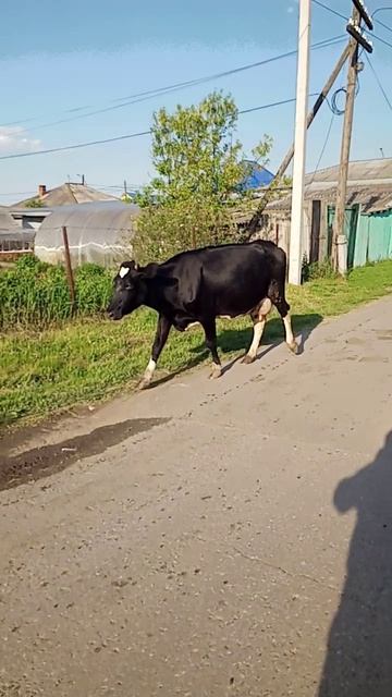 Где-то в России!!!