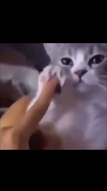 Когда не на работу