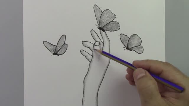 Как нарисовать бабочку шаг за шагом с помощью очень простых рисунков карандашом
