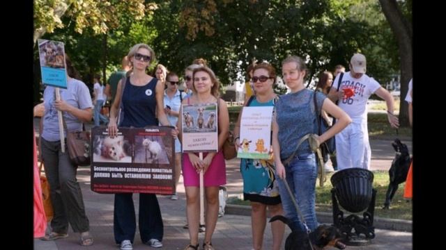 Закон нужен сейчас