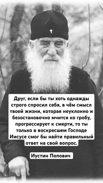 В чём смысл твоей жизни?