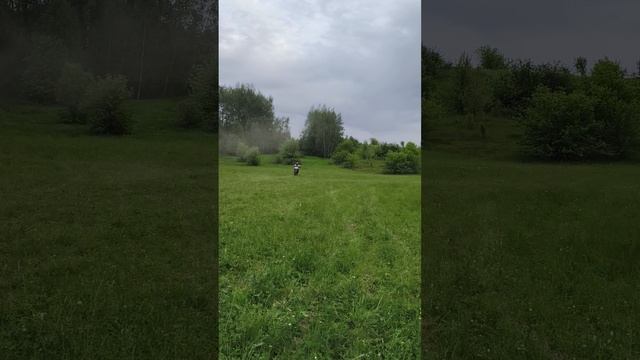 31-05-2025
