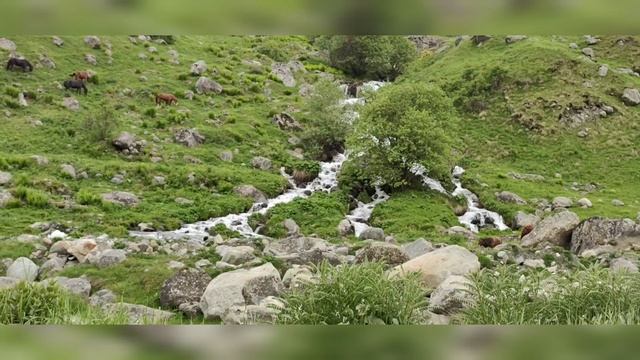 прекрасная Осетия. кармадонское ущелье