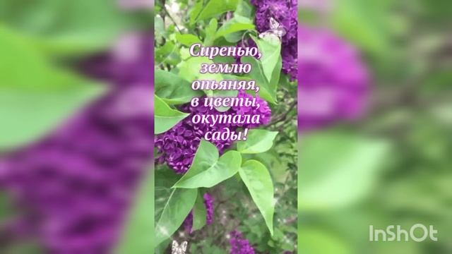 1000088253.mp4