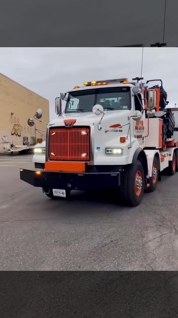 Итальянские Геркулесы Cormach и PM в Нью Йорке! #манипулятор