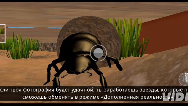 Насекомые и не только 🐜🦗🐞🕷🕸🦋🐛🐌🦋🦟🪱🐝🦂!