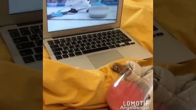 Твои глаза Прикол:)