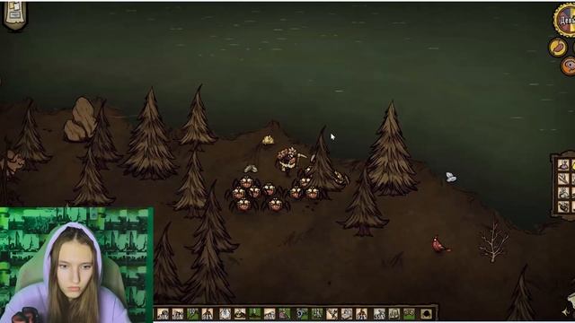 Каменная лихорадка в Don't Starve Together