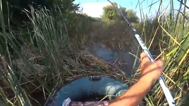 Ловля карпа осенью на ставке и на реке (две рыбалки в одном видео) Сентябрь. My fishing