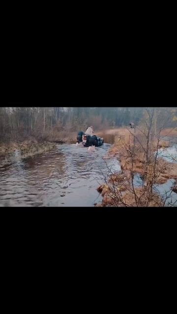 Кокатушки