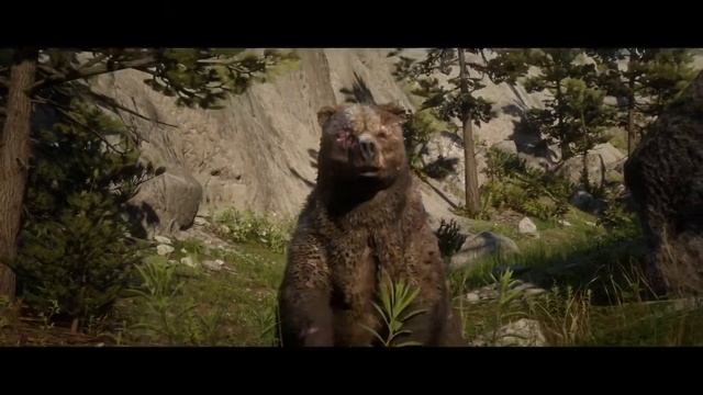 Решил купить RDR2      вот что из этого вышло