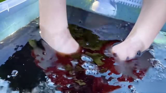 Мистер Макс Макс и Катя и их загадочный челлендж