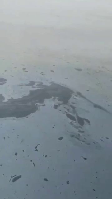 Это не просто пятно – это угроза для уникальной природы Приморья. Что происходит у мыса Четырех скал