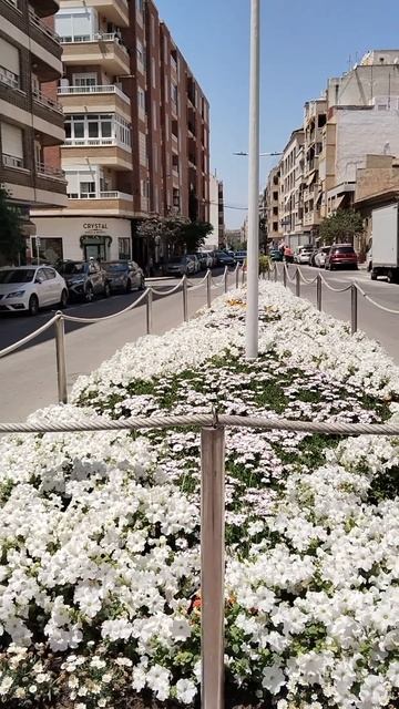 Украсили улицы цветами в Испании