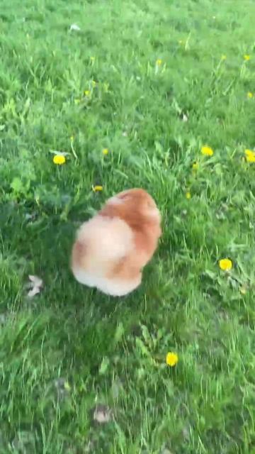 1000101729.mp4