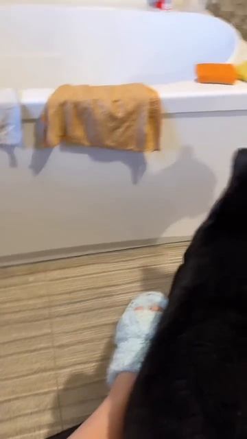 Privacy_ No, no, no if you have a cat.